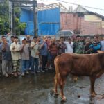 Kolaborasi Lazawa Darul Hikam, Polije, dan Masjid Al Muhajirin Latih Juru Sembelih Kurban