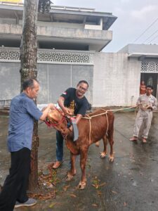 Dari Teori ke Praktik, Lazawa Darul Hikam Hadirkan Sapi untuk Simulasi Penyembelihan Syar’i